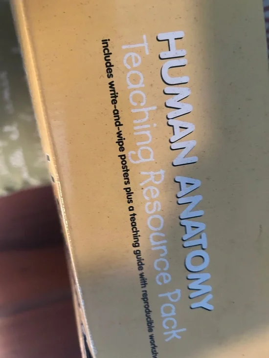 Human Anatomy Posters Set - Yellow - - Picture 7 of 13